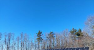 Saaremaa jahimehed mõtlevad roheliselt