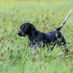 119121203_797506260984848_8304547003885140166_n