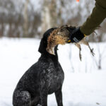 151314644_913657222703084_5971860716294704280_n