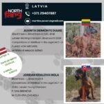 Baieri verekoer- vanemad