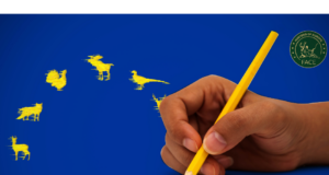 Täna on viimane võimalus anda oma toetusallkiri!