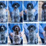 received_6133785133324157