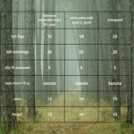 teine eelmüük kuni 3. juuli