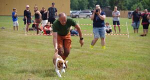 Koertealal jagub põnevaid tegevusi ja vaatemängu
