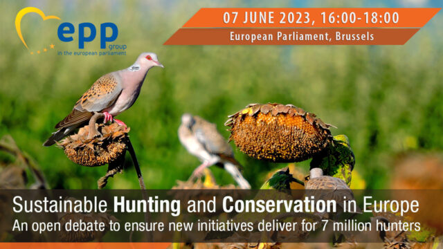 face konverents 2023