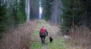 Neljas jahipiirkonnas korraldab jahti ajutiselt Keskkonnaamet