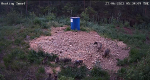 Kährikupere jäi rajakaamerasse