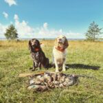 IMG_20210823_125557_780