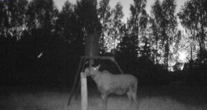 PILTUUDIS: Sõralised saavad sõbralikult läbi