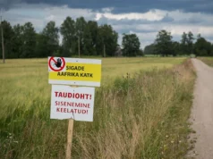 Tartumaal tuvastati sigade Aafrika katk üle 6000 seaga farmis