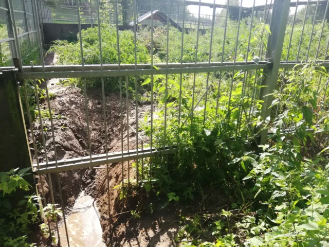 Karuaedik_loomapargis_Keskkonnaamet