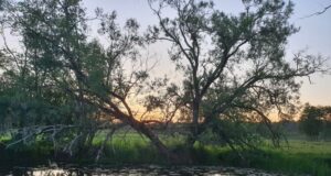 EJS kontori töötajad puhkavad