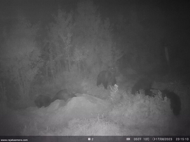 viis karu - urmas välba