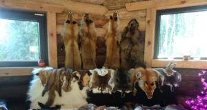 Nahaparkimise koolitus Järvamaal