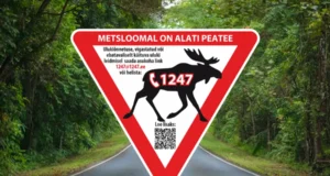Kuidas märgata metslooma ja käituda õigesti? Abitelefon 1247