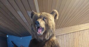 Lasteaia lapsed käisid jahindusklubis uudistamas