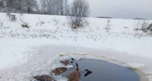 Jää võttis Lätis kuue hirve elu