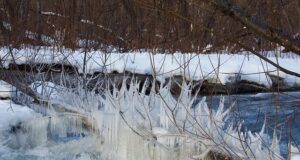 Tartu Jahindusklubi on jõulunädalal suletud