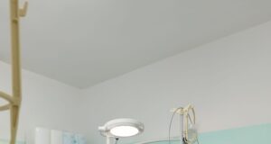 Itaalias ravitakse liiklusõnnetustesse sattunud hunte