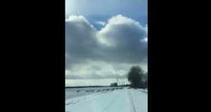 VIDEO: Metskitsekari teed ületamas