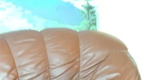 Müüa Saksa jahiterjeri kutsikad