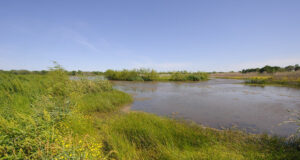 Soome märgalade projekti tutvustus Eesti Jahimeeste Seltsis 11. detsembril