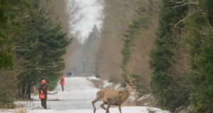 MTÜ Eesti Jahinaised tähistasid 10. aastapäeva