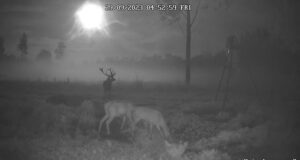 Ilusat sõbrapäeva!