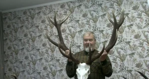 Punahirve valikküttimisest valmis video