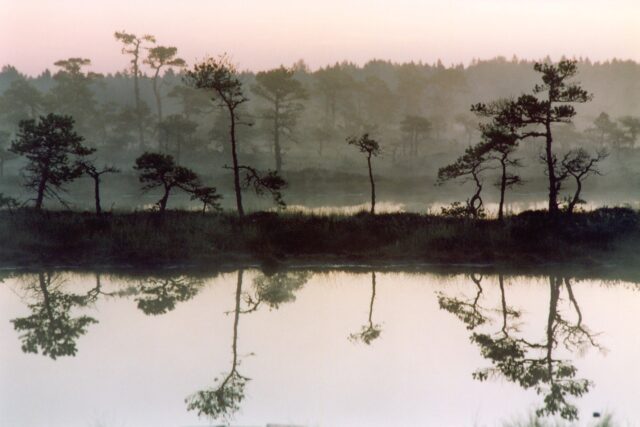 soomaa kuresoo raba laukad