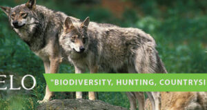 20. märtsil toimub hundi ohjamise teemaline veebiseminar