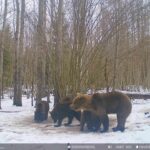 431831685_948812106914799_790642960361853732_n