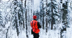 113 hunti on sel jahihooajal kütitud