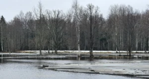 Märtsiga algas uus jahiaasta