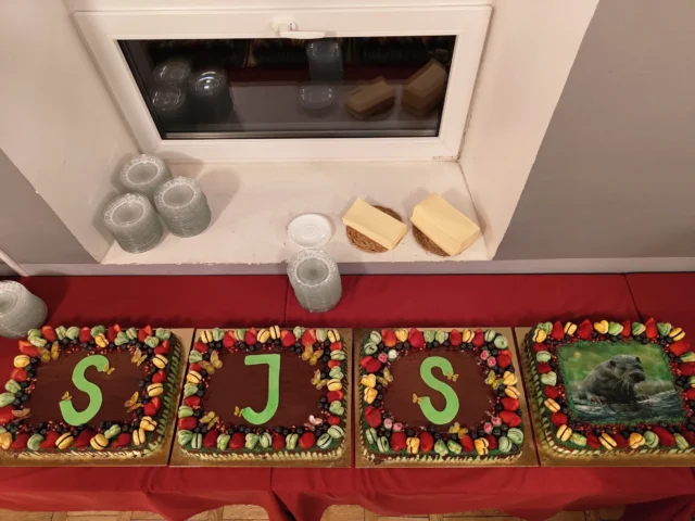 IMG_20240330_213726586