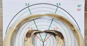 Jahitrofeede hindamise register täienes