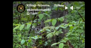 Ilves sattus Kilingi-Nõmmes hoovi