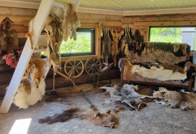 koivuoja kokkutulekul