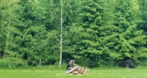 Karud tungivad hoovi ja randa ning jäävad ka rongi alla