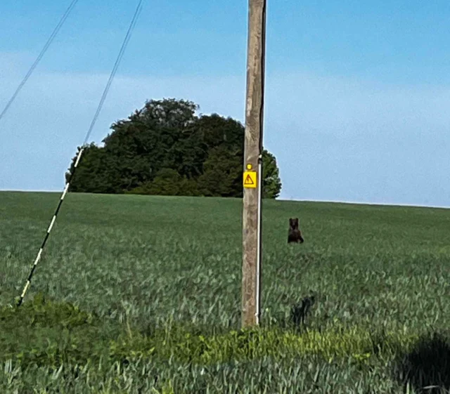 karu elistvere külas