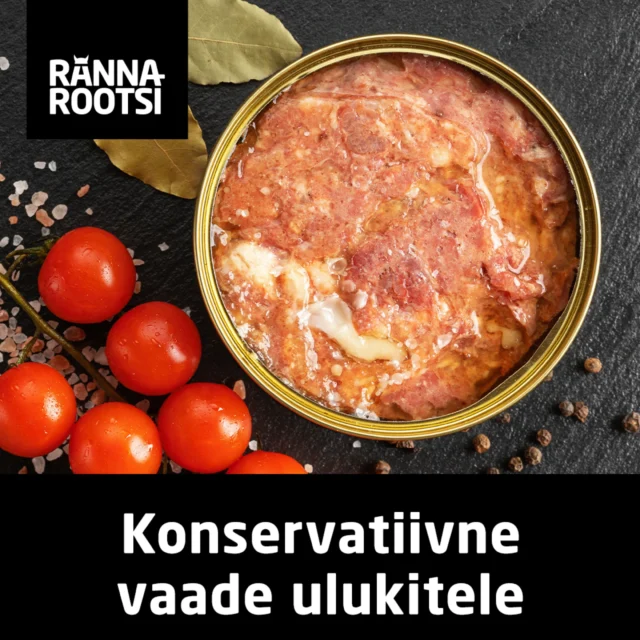 Konservatiivne rannrootsi