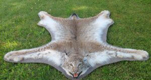 Jäägriabi loosib kokkutulekul vingeid auhindu