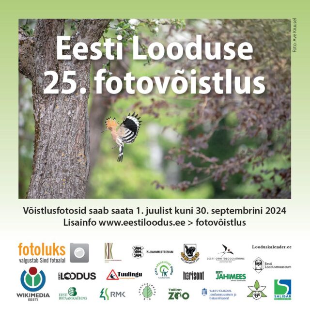 449627780_1189402392365759_6605835717884057633_n