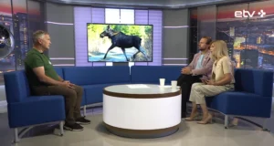 “Horisont” uuris, kuidas vältida kokkupõrget põdraga