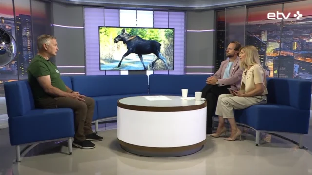 Horisont U.Salmu 1109