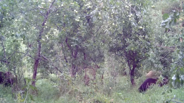 karud looduskalender