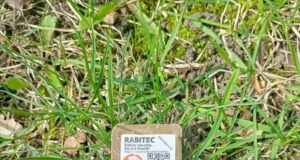 Kevadine metsloomade vaktsineerimine sai punkti