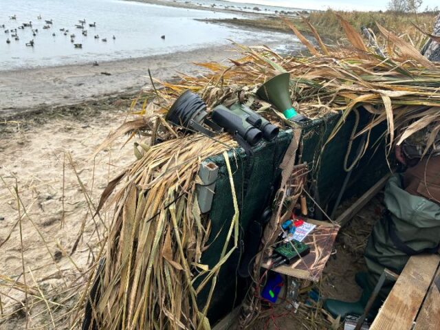 Ebaseaduslik peibutusvahend_foto Keskkonnaamet