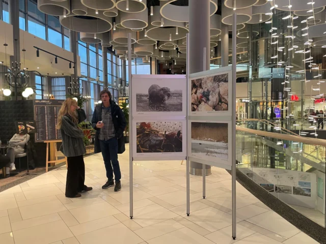 aasta looma näitus 24