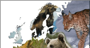 Euroopa suurkiskjate uuenenud levik ja arvukus